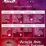 Acacia Christmas Story Bazaar @ Acacia Estates December 2014