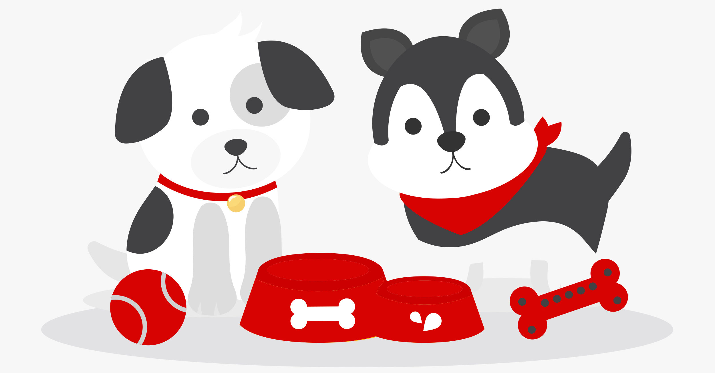 Best In Show Pet Resort Pet Resort Dog Daycare Pets